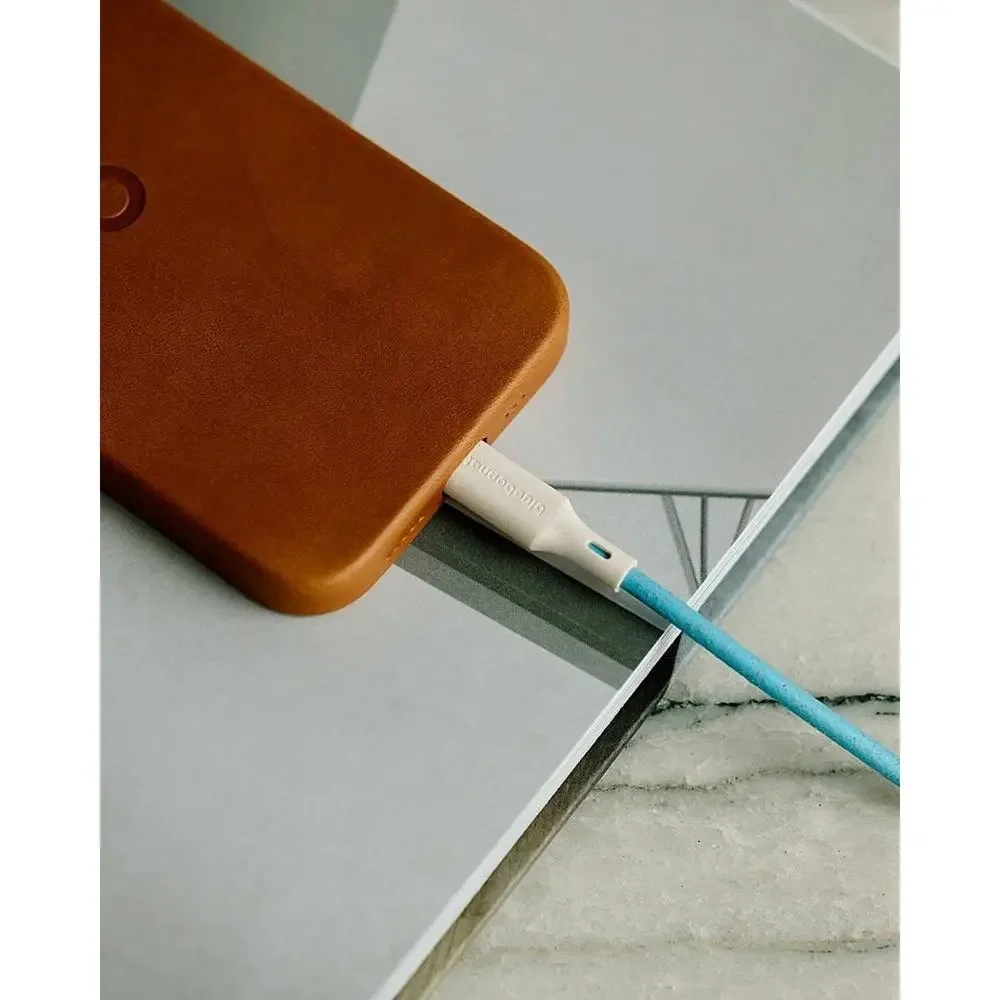 BlueBonnet The Companion USB-C to USB-C 4FT Charging Cable